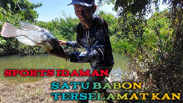 Strek nila babon bikin ketagihan @bumiminangchannel
