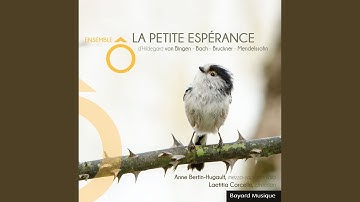 Cum erubuerint (Antienne)