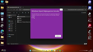 Windows 11 Shadow Defender Installation Assistant | Open Source Tool Review