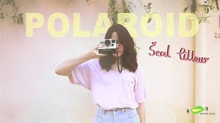 Seal Pillow - โพลารอยด์ (Polaroid) [Official Audio] chords