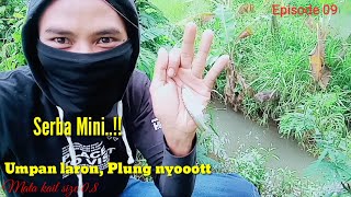 Download Lagu MICRO FISHING‼️PLUNG JLEB UMPAN LARON, MANCING WADEUR MANIA. Putra Angler 🎣 MP3