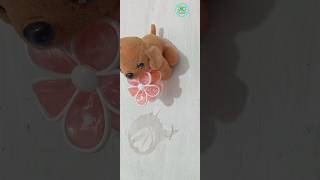 loyal mini dog#dogs #loyalty #kids
