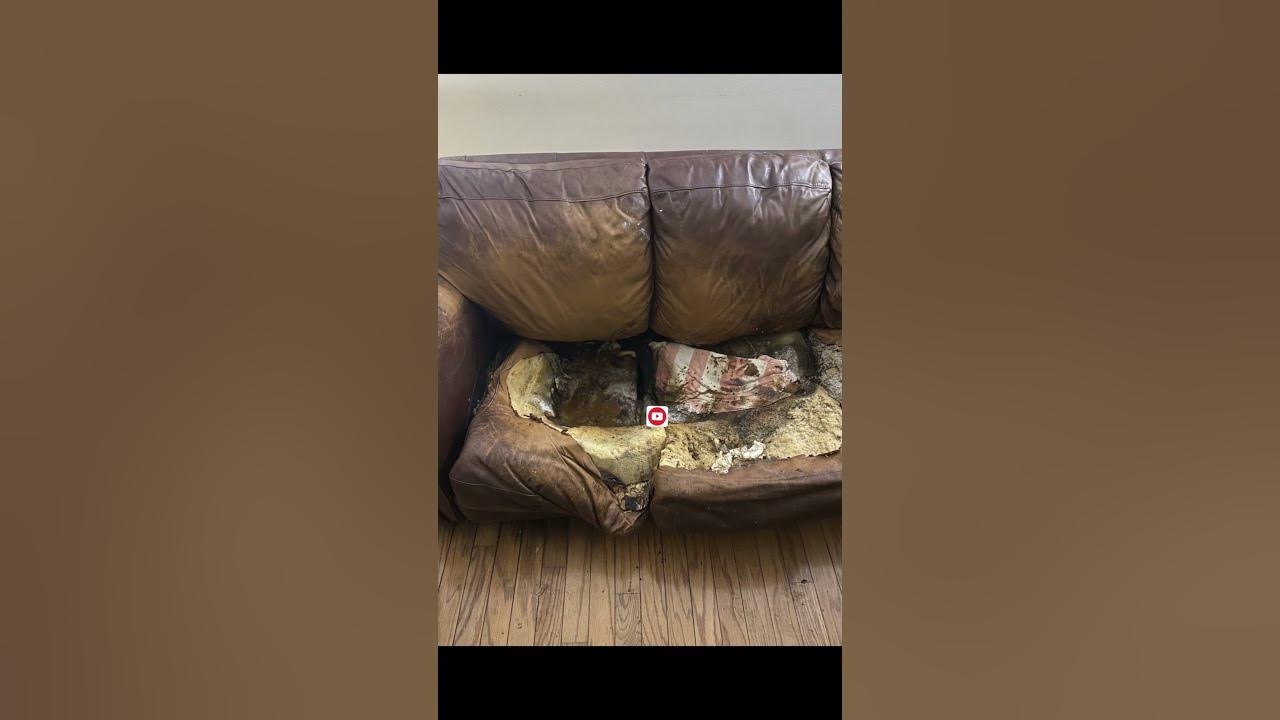 DISABLED Woman Found MELTED Into Her COUCH; HEARTBREAKING Case Of Lacey