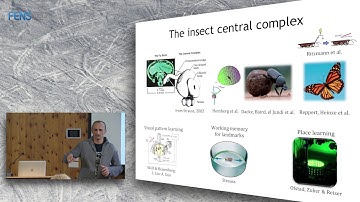 Vivek Jayaraman on Navigational attractor dynamics in Drosophilia: going from models to mechanism