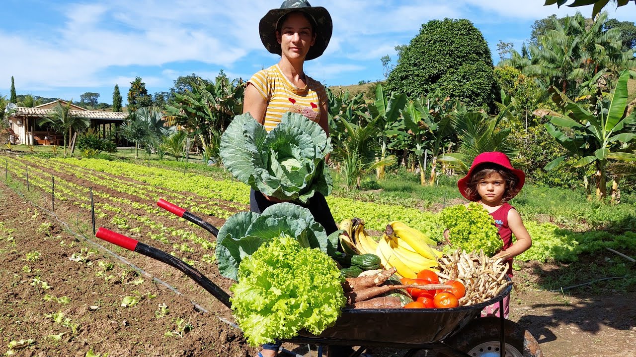 Fazendo a Feira no sítio para o almoço