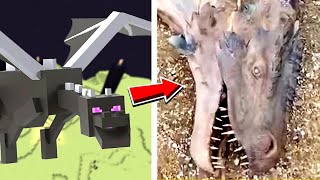 Minecraft Mobs IM ECHTEN LEBEN AUFGENOMMEN.. 😲