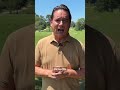 Good Good Golf Pulls Controversial Callaway Driver Ad After Heavy Criticism