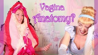 Vagina Anatomy