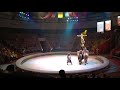 Легендарный Цирк Юрия Никулина в Тюмени. Верблюды