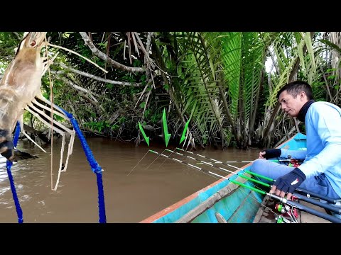 Udang Besar Thailand