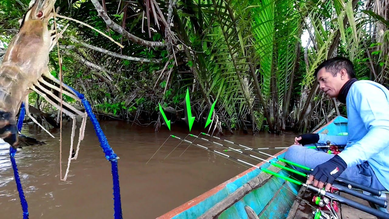 Удивительный рекорд! Ловля гигантских синеклешневых креветок во время медленного течения реки