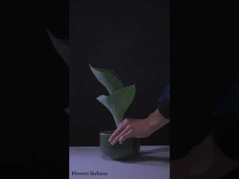 Video: Is ikebana bloemstuk?