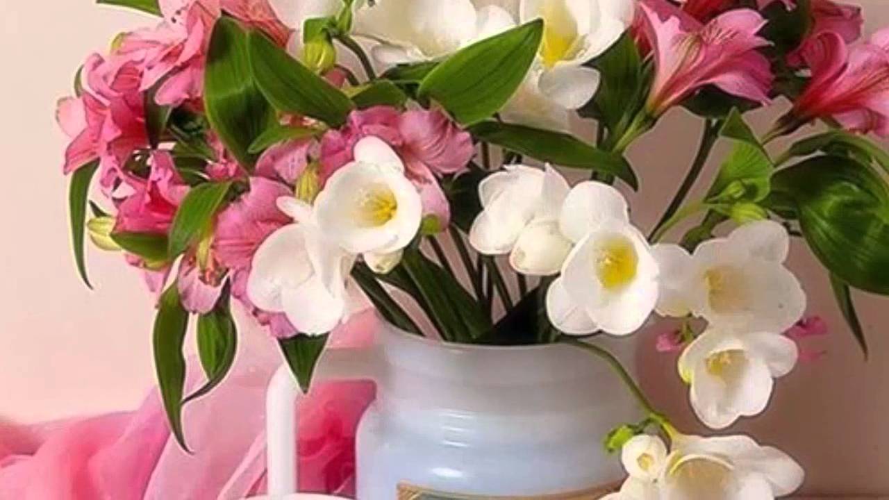 Доброго счастливого нового дня. Утренние цветы. Цветы с добрыми пожеланиями. Хорошего настроения и удачного дня цветы. Хорошего дня с цветами.