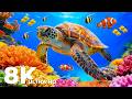 Dive Into a Mesmerizing 8K Underwater World | Best 8K HDR Aquarium