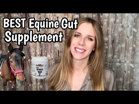 BEST BUDGET DIGESTIVE SUPPLEMENT FOR HORSES