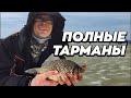 Ловля крупного карася весной на мормышку, последний лед. Тарманы, Тюмень. Рыбалка 2022