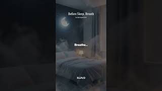 Before Sleep, Breath #mindfulness #ambientmusic #VeloraSilence #DeepBreathe 🎁🌙✨