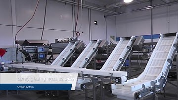 Hopper Scales: Scallop System – Accurate weighing of continuous product flow
