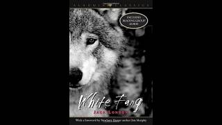 Sunday Afternoon Reading White Fang By Jack London 1906 Cc