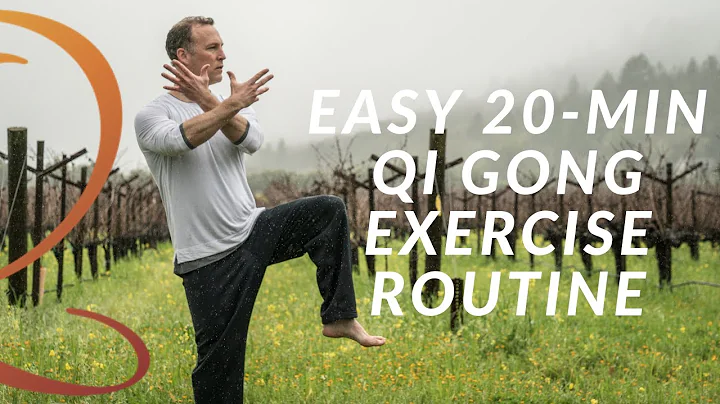 20-Min Qi Gong Exercise Routine - Easy Home Workou...