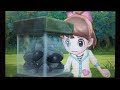【3DS】妖怪ウォッチ　ようこそ妖怪ワールド