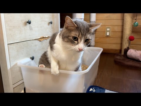 おしっこの仕方がテクニカルすぎるスカーさん