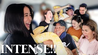 SCARING MY FAMILY WITH A GIANT SNAKE!!