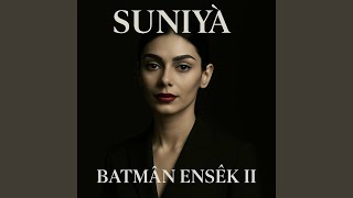 Batman ansak II (feat. Suniyai) - Qmi