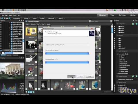 How to Resize Picture using ACDsee pro3.wmv