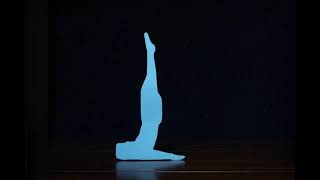 Animation Demo Reel (Stopmotion Rotoscope)