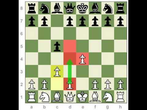 Openings - Sicilian Defense Chess
