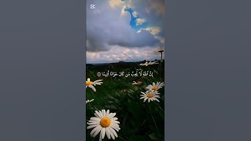 قرآن كريم #اكسبلور #المصحف #duet #الرحمن #دويتو #راحة_نفسية #لايك #اعتني #funny #flowers