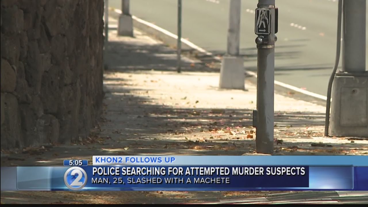 Police search for suspects behind machete attack in Honolulu YouTube