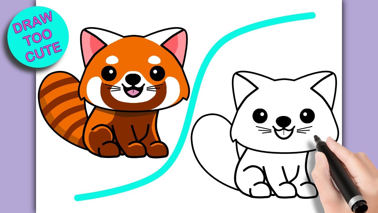 How To Draw A Red Panda Easy Step By Step Drawing Drawing Youtube