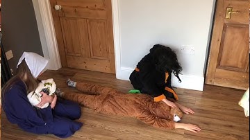 Comfort and Joy Advent Nativity - Day Eleven