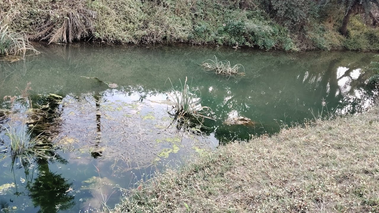 😱कमला नदी सिहोर गांव कि सुबह 🌄