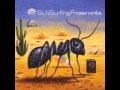 Subsurfing - The Number Readers