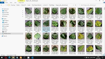 Plant Disease Detection and Classification by Deep Learning | Deep Learning | Flask | Python