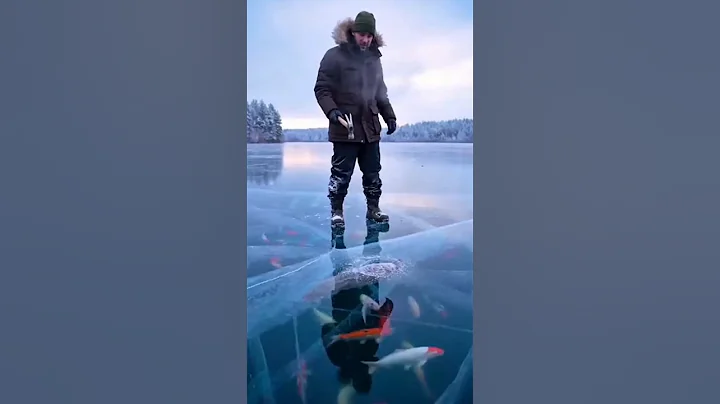 Cat trapped in frozen ice lake, Ai Sora 2 #animals #cats #shotrs