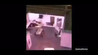 What Is The Dog Doing? Meme