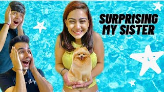 SURPRISING MY SISTER WITH A NEW DOG | Rimorav Vlogs