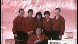 LOS PALMERAS amor de millonario