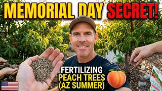 Summer Peach Tree Care in Arizona: Fertilizing & Watering Tips