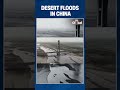 China's Largest Desert Floods Early as Extreme Heat and Glacier Melt Raise Alarm | #shorts