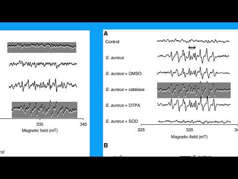 A980602CC61C5207524A90F354DD09 1