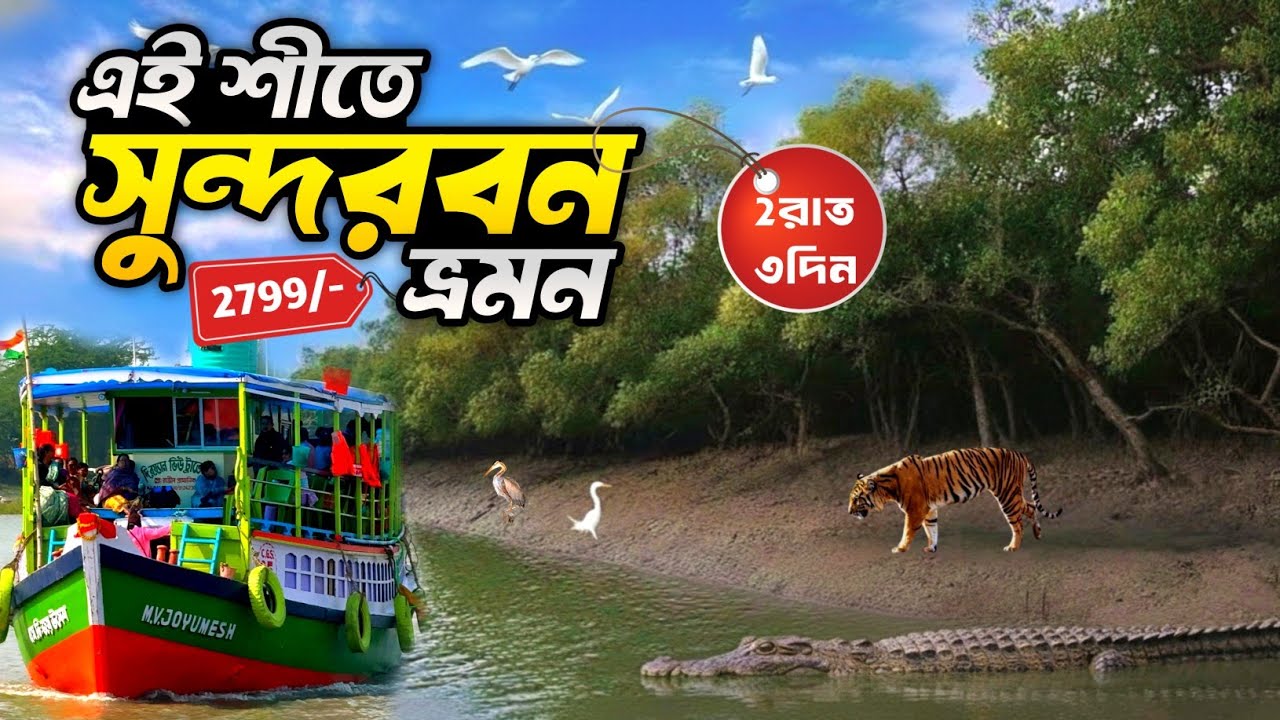 Sundarban Tour 2026 | শীতকালে সুন্দরবন ভ্রমণ | 2night 3days Sundarban travel guide, SUNDARBAN TOUR |