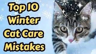 10 Cold Weather Mistakes Cat Owners Make And How To Fix Them