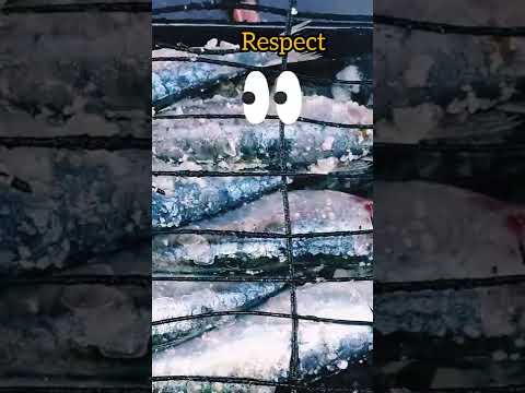 شواية السردين ابو رغد  