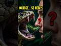 🐍 How Snakes Smell With Their Tongue | AniFacts