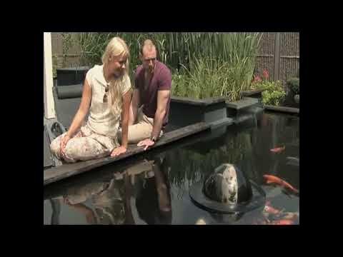 Floating Fish Sphere/Dome schwimmende Fischkugel www.der